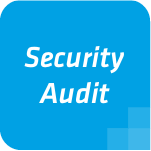 security-audit